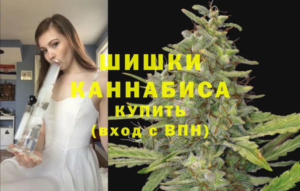 первитин Богородск