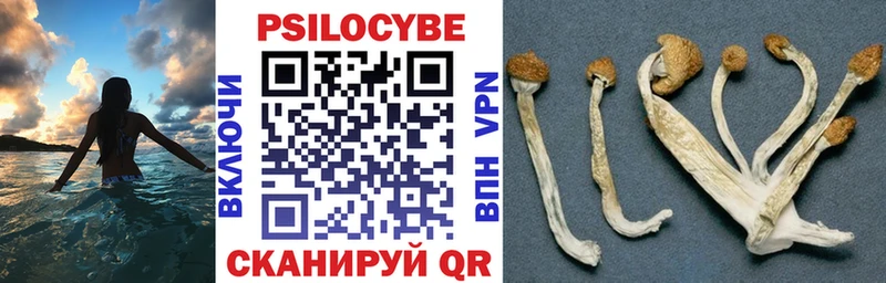 Псилоцибиновые грибы прущие грибы блэк спрут зеркало Бутурлиновка